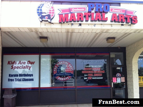 martial arts franchise
